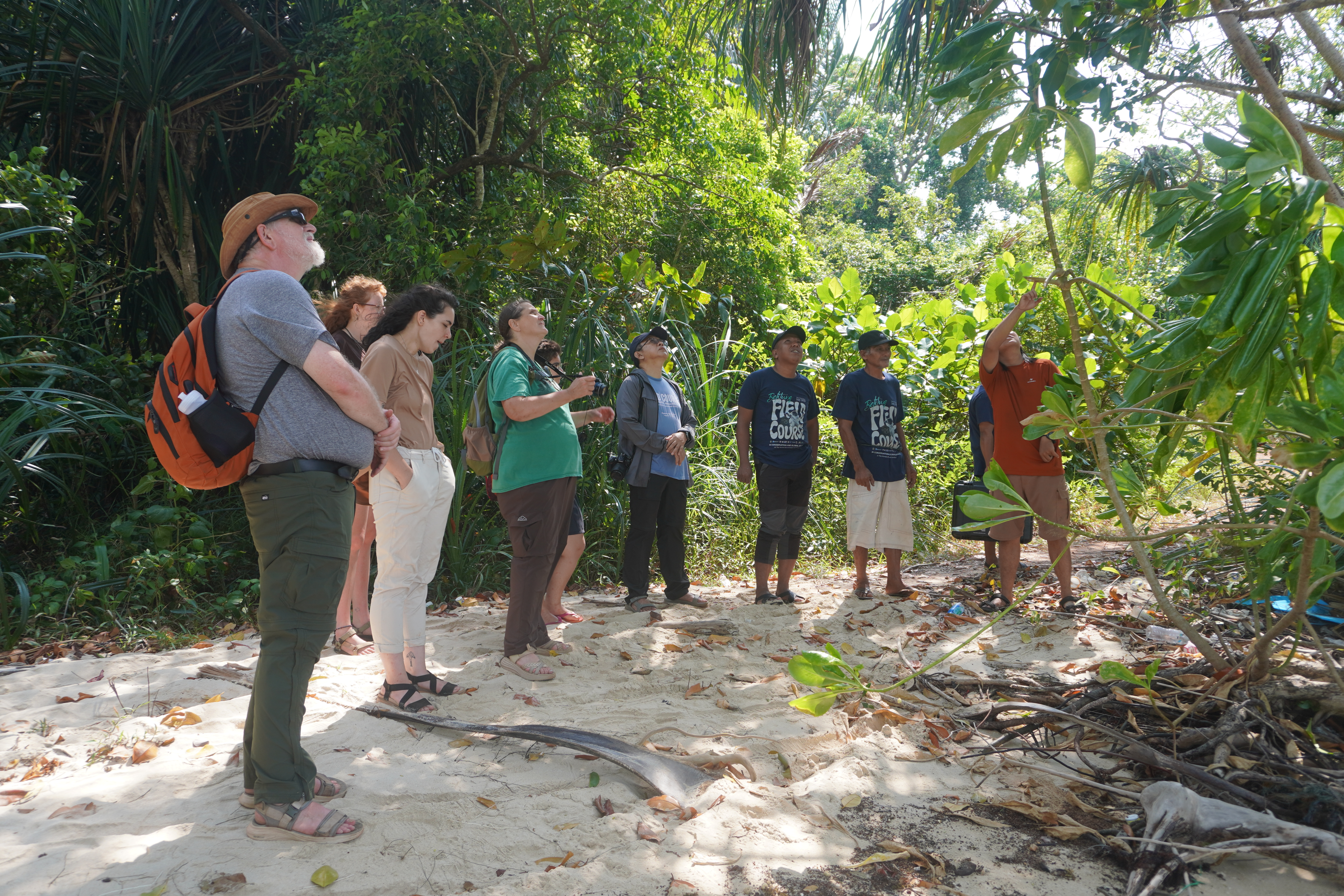 Forest Trekking Adventure